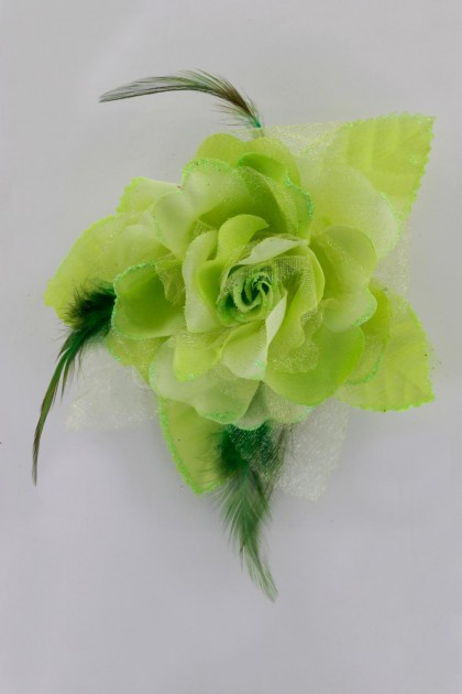 Corsage Clip Package 