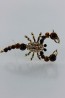 Scorpion brooch 