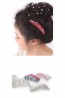 Audry Hair Comb Accessories 