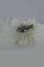 Feather Corsage 